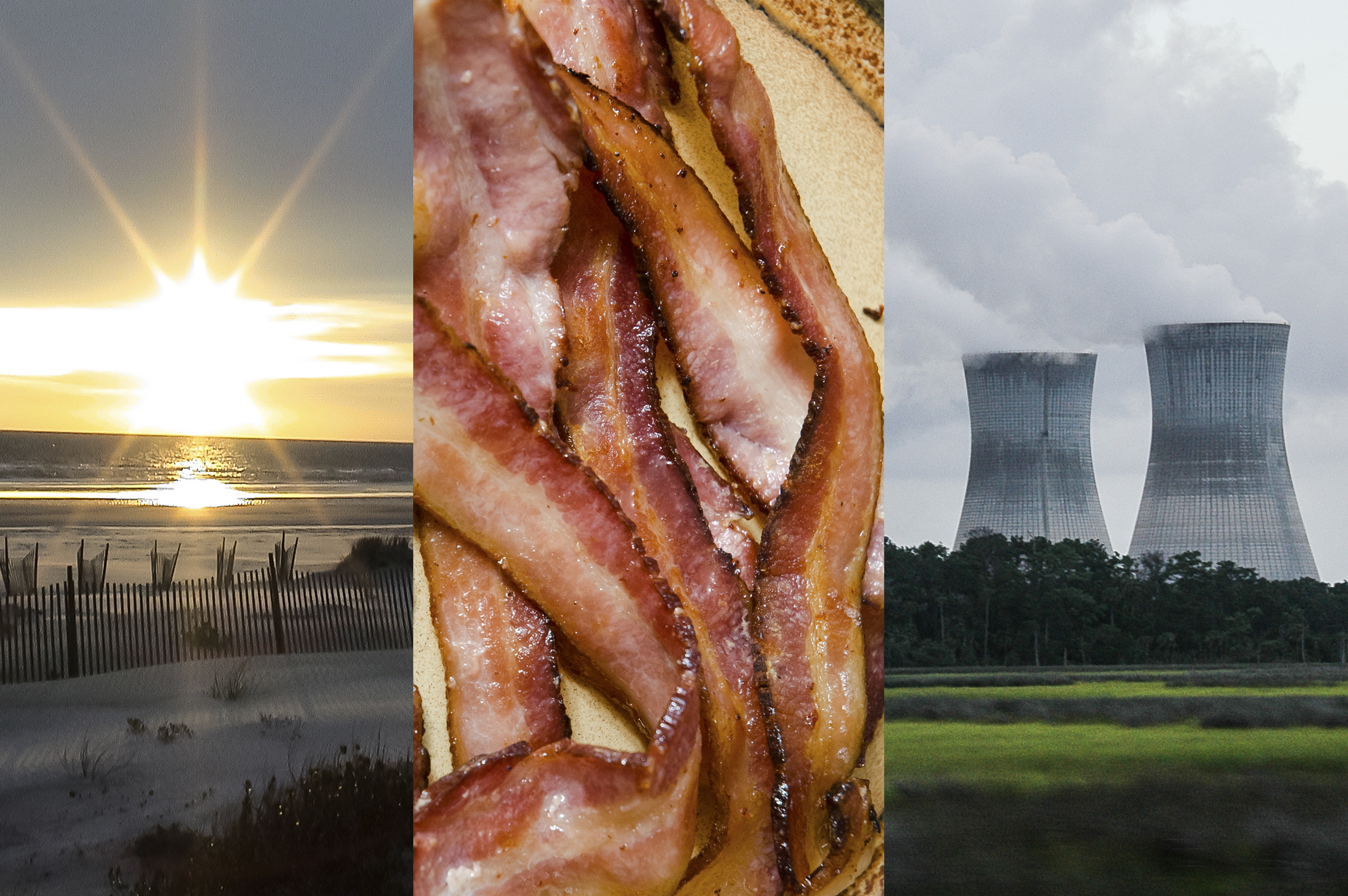 sunlight, bacon, and plutonium