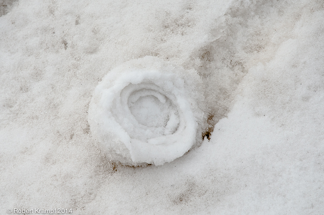 coiled snow structure